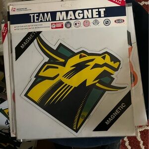 University of South Florida Bulls car magnet